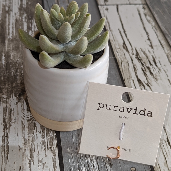 Pura Vida Jewelry - Pura Vida Daisy Ear Cuff NWT!